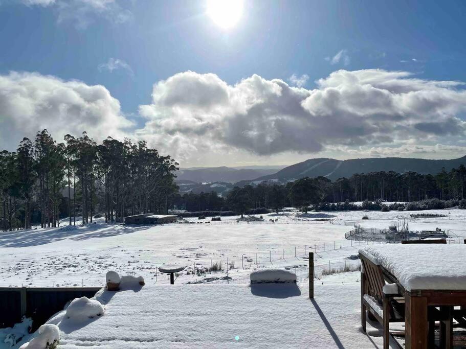 Amaroo With A View Set On A 50 Acre Hobby Farm Apartment Collinsvale Luaran gambar