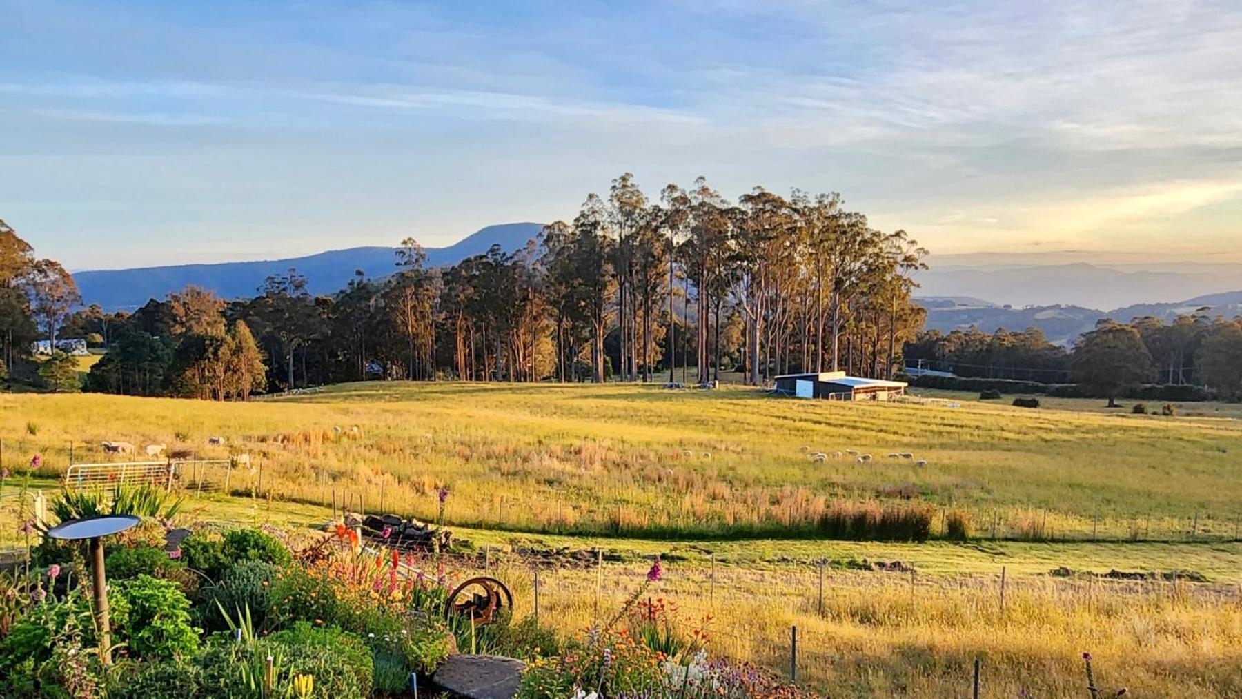 Amaroo With A View Set On A 50 Acre Hobby Farm Apartment Collinsvale Luaran gambar