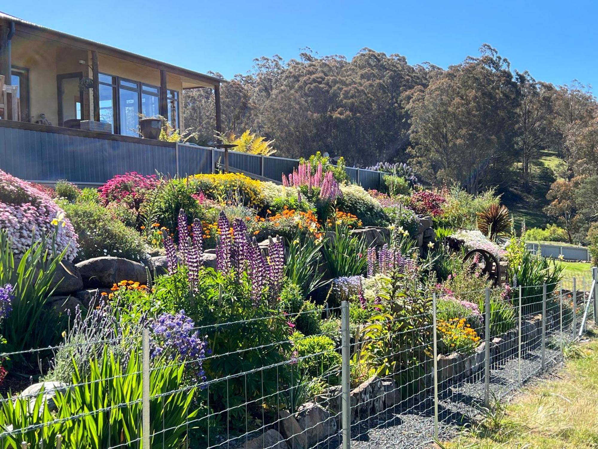 Amaroo With A View Set On A 50 Acre Hobby Farm Apartment Collinsvale Luaran gambar