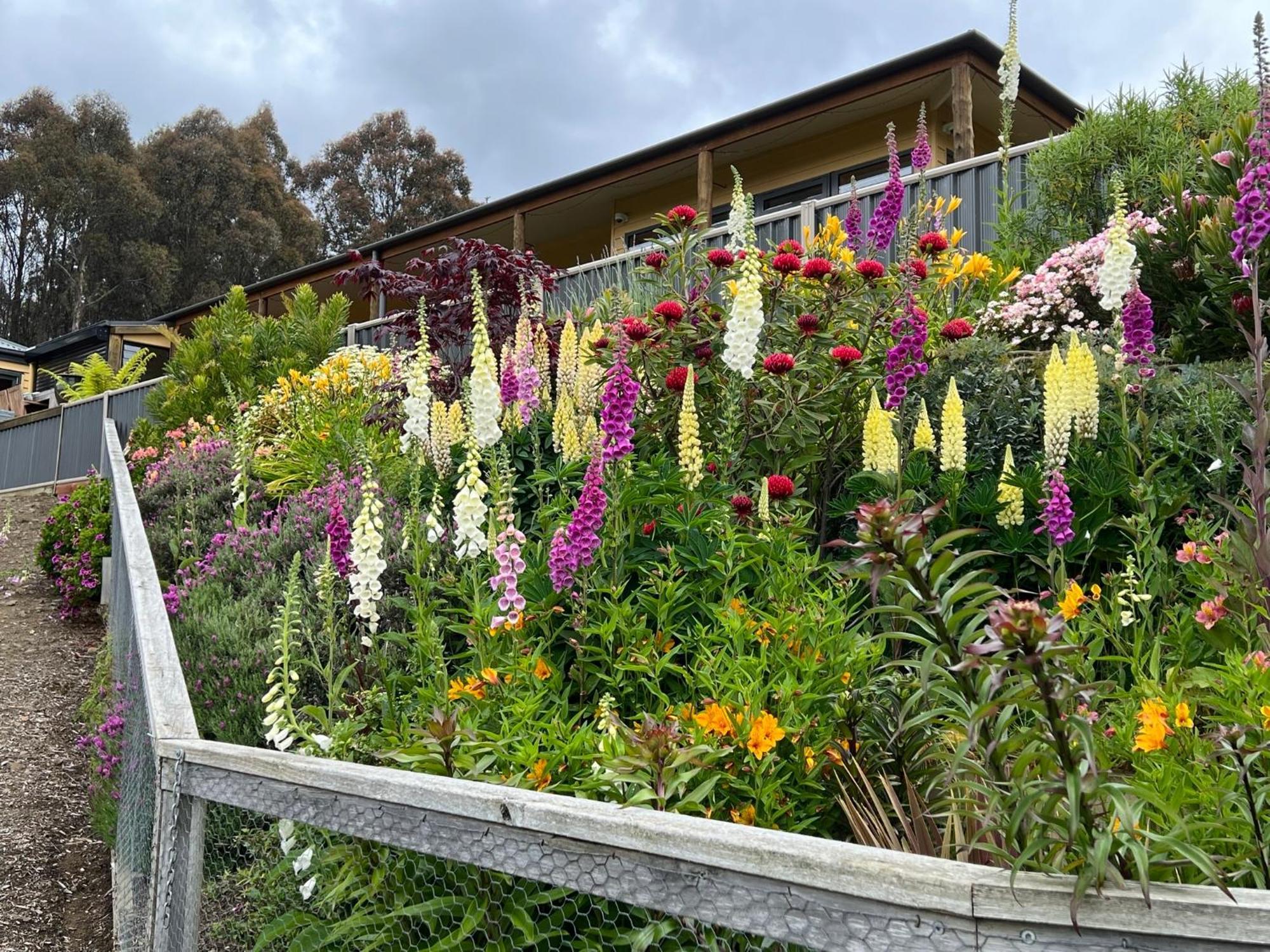Amaroo With A View Set On A 50 Acre Hobby Farm Apartment Collinsvale Luaran gambar